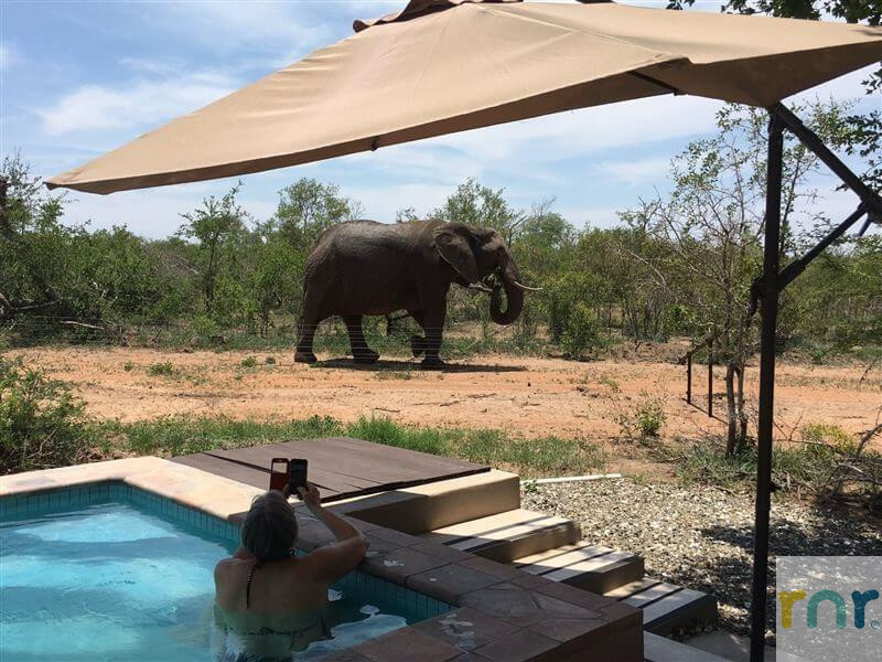 5 Bedroom Mjejane with views IMR1 - Photo 3