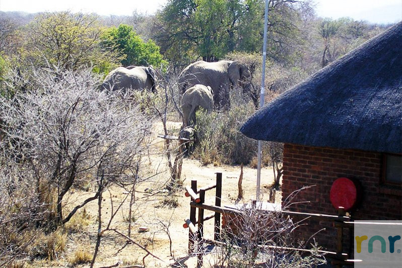 Mabalingwe 2 Bedroom, sleeps 4 adults & 2 children IBG1 - Photo 3