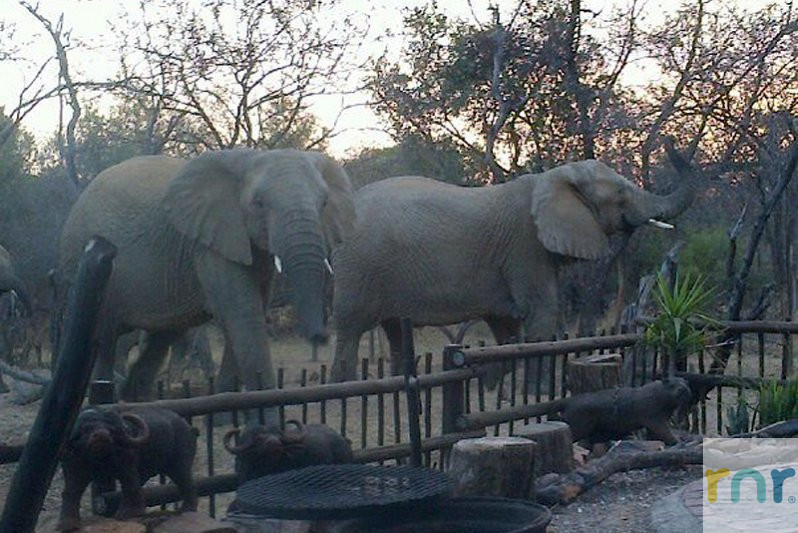 Mabalingwe 3 Bedroom, sleeps 8 IWB1 - Photo 2
