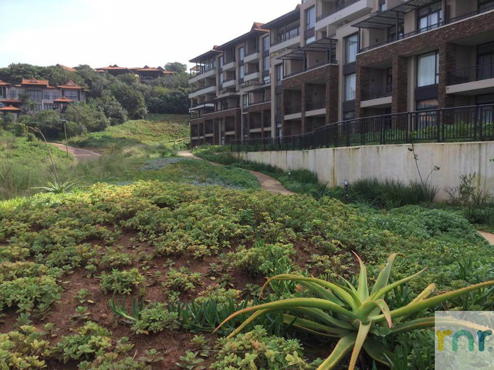 Zimbali Suite 1 Bedroom with sleeper KZT1