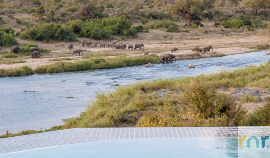 Mjejane 5 Bedroom Luxury River Lodge IJS1 - Photo 4