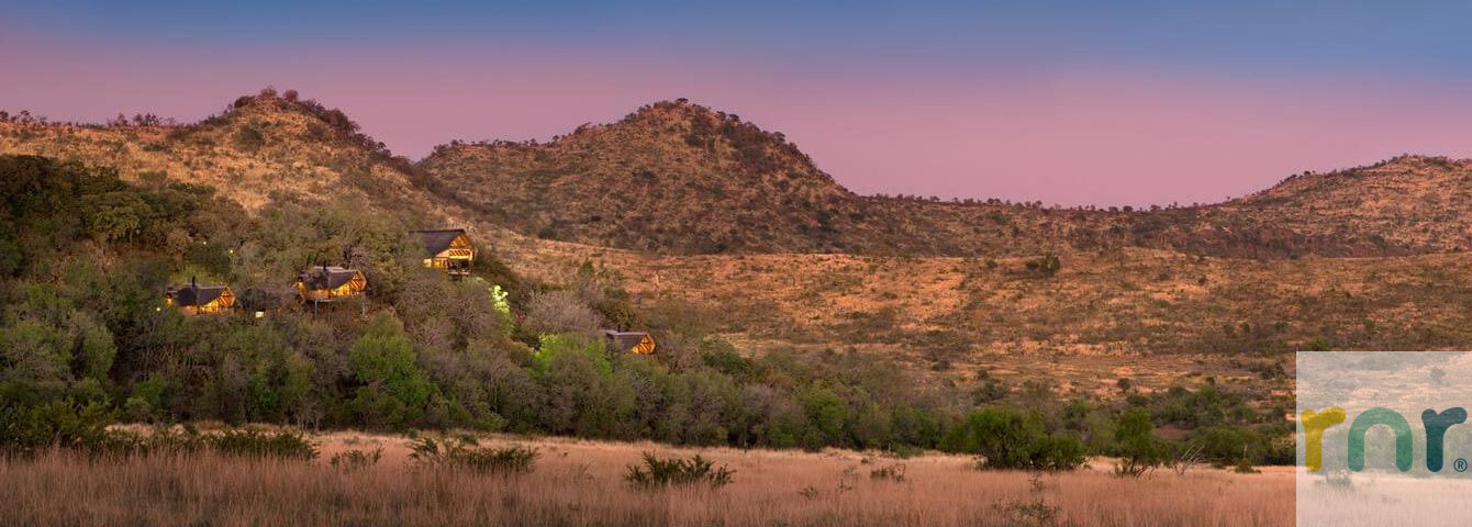 Tshukudu Bush Lodge ILR06