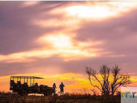 Metsi Lodge 5 Bedroom Luxury Lodge - Welgevonden - Photo 2