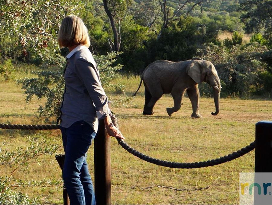 Metsi Lodge 5 Bedroom Luxury Lodge - Welgevonden - Photo 5
