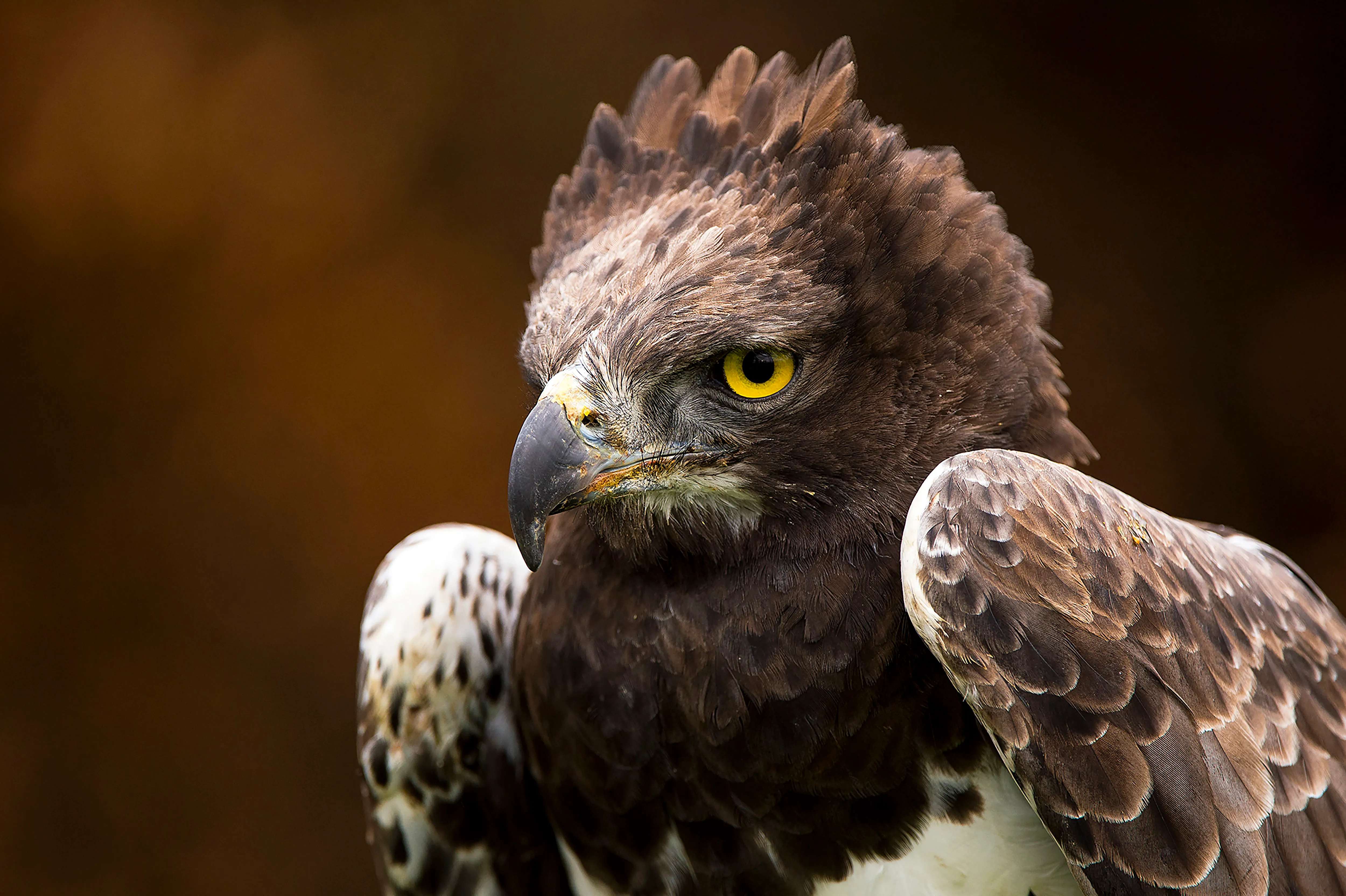 Marloth Park holiday destination