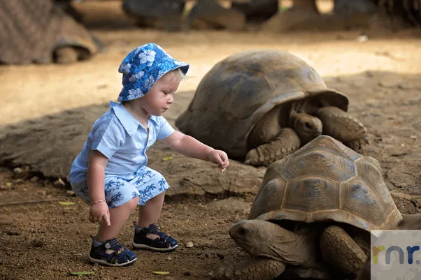 Mjejane Accommodation – Babies and Toddlers on Safari