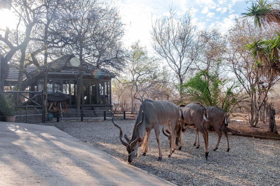 Bartlett Safari Marloth Park - Photo 2