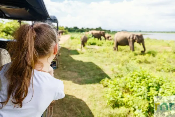 Zebula Accommodation – A Cradle of Wildlife Activity