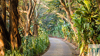 Zimbali - KZC1 - 4 bedroom designer Holiday Home - Photo 4