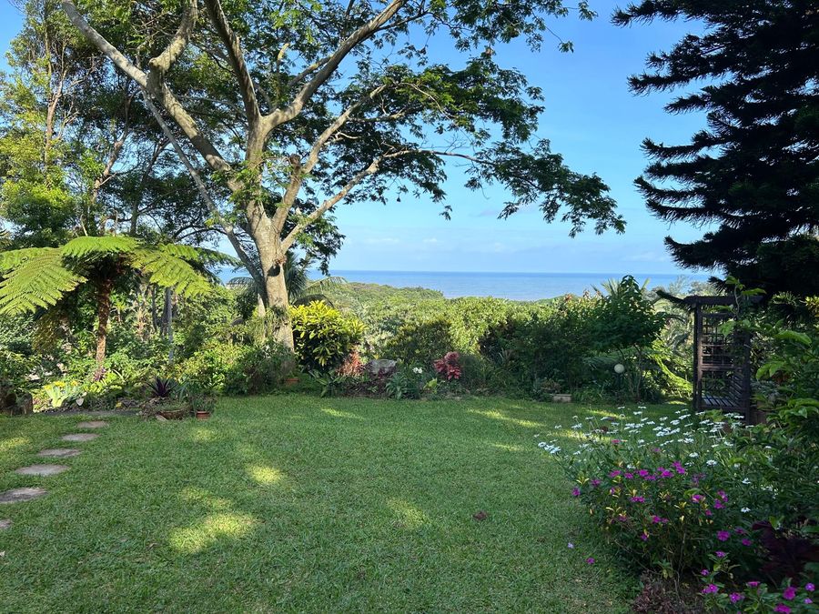 Palm Beach 3 Bedroom House - Photo 4