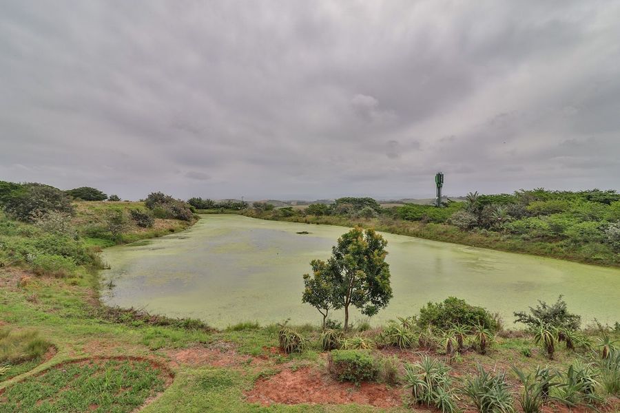 Luxury 4 Bedroom Bali Segara - Photo 4