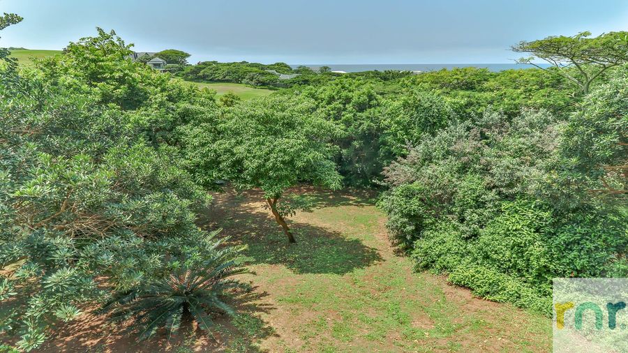 Spectacular Prince's Grant 4 Bedroom  KPD1 - Photo 3