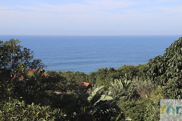 Zimbali Milkwood 4 Bedroom - KSZ3 - Photo 2