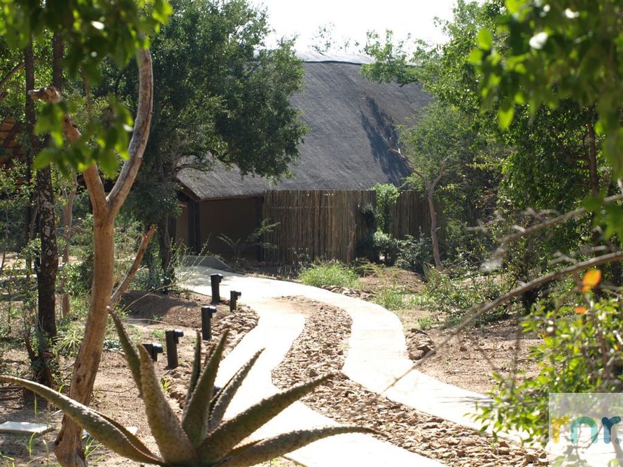 Black Rhino 5 Bedroom luxury lodge IDP02 - Photo 5