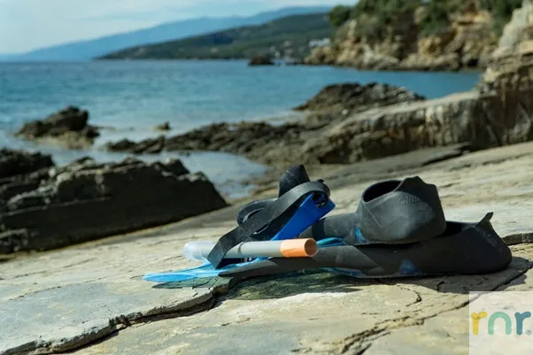 Selborne Golf Estate – Discover and Appreciate Sharks and Crocs