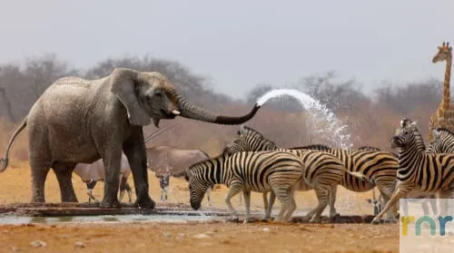 Mjejane Accommodation – Go Wild in Winter