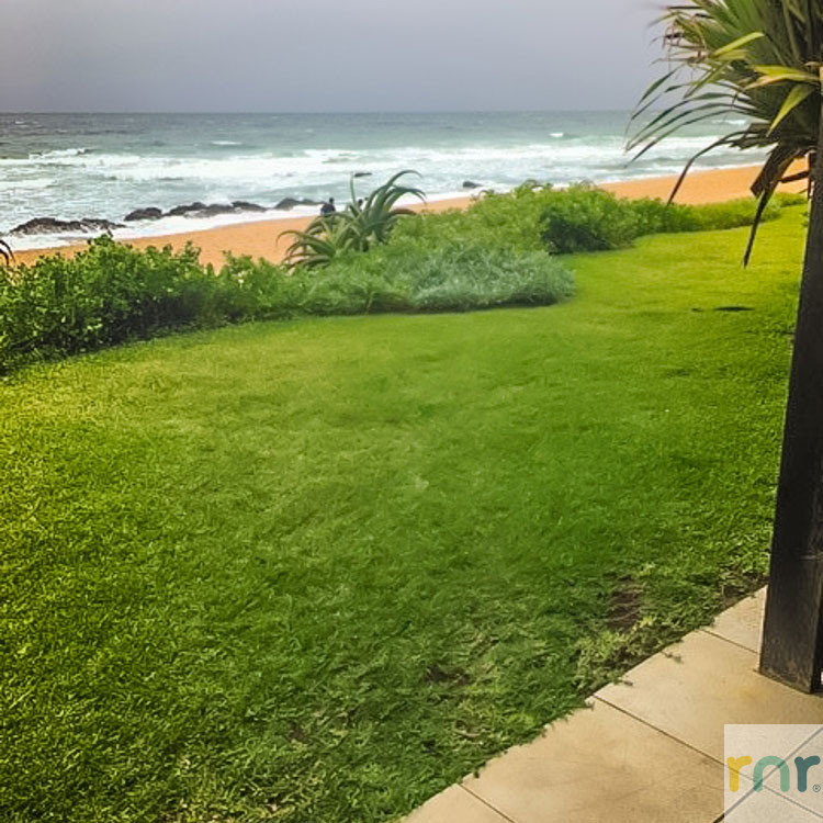 3 Bedroom Beachfront Apartment  KDC1