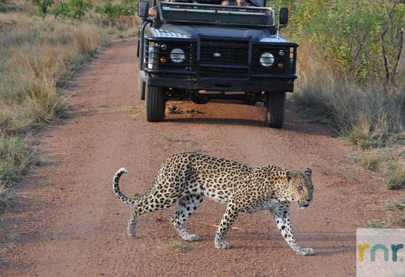 Wild Ivory Eco Lodge - Welgevonden IWE01 - Photo 5