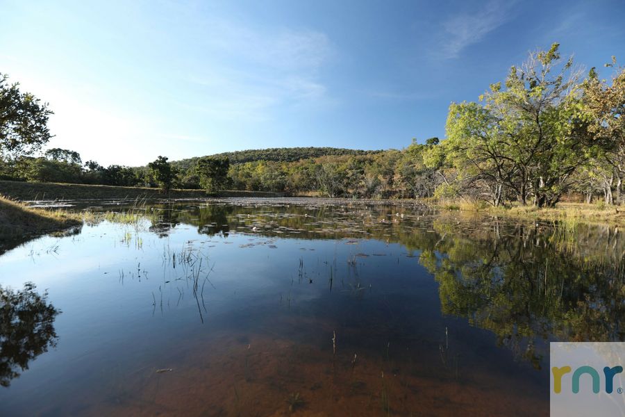 Waterbury Wilderness - 5 Bedroom, sleeps 14 IW7