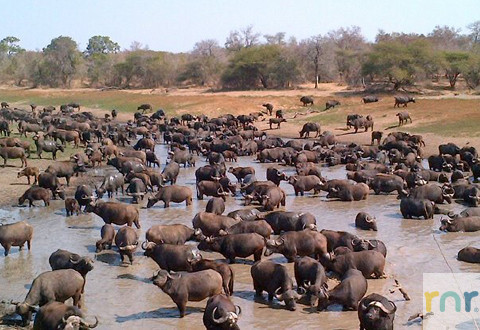 Mjejane River Lodge 5 Bedroom - IMJ1 - Photo 2