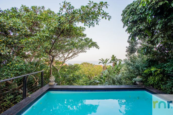Zimbali Milkwood 4 Bedroom - KSZ3 - Photo 4